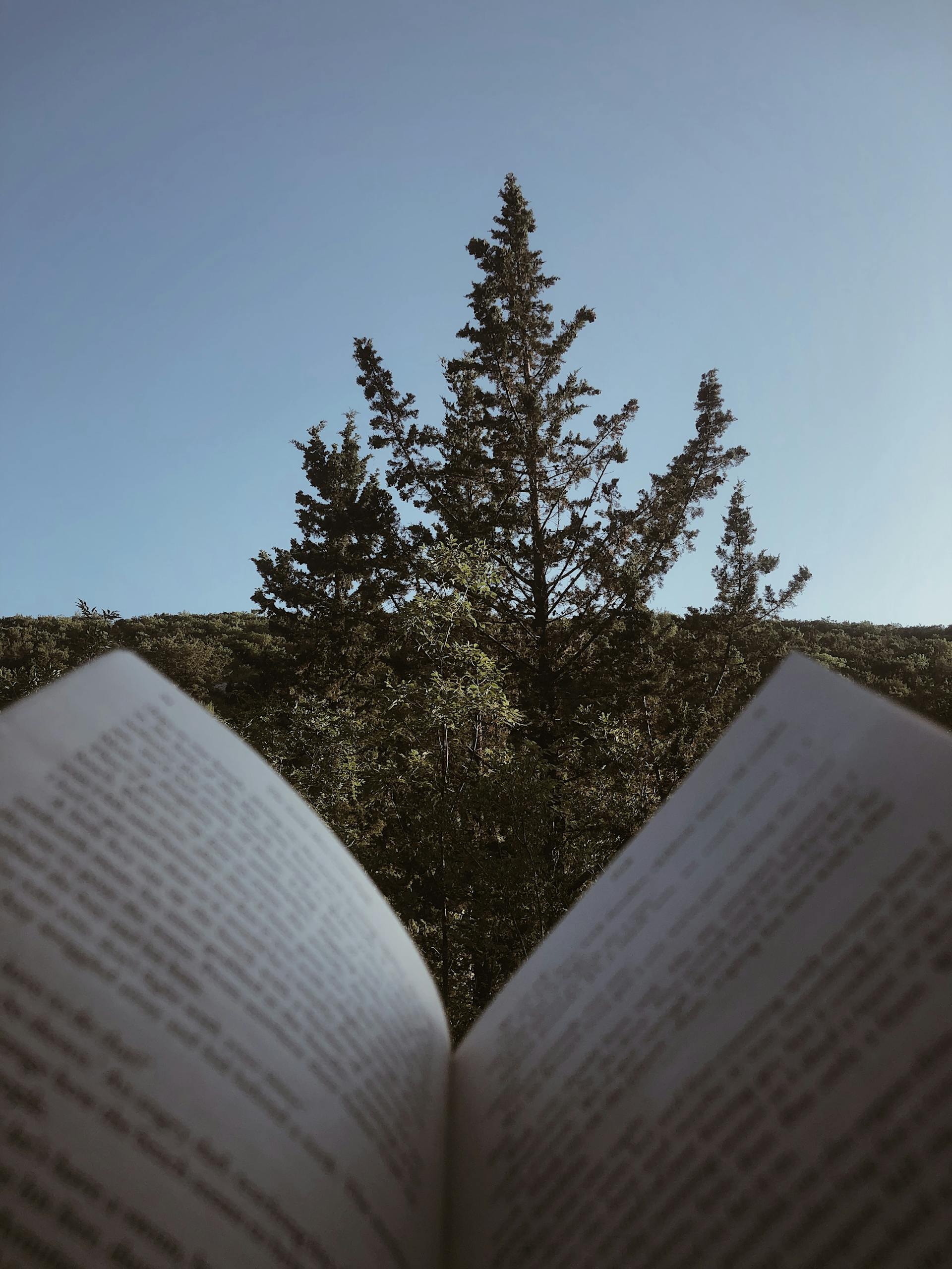 Blog